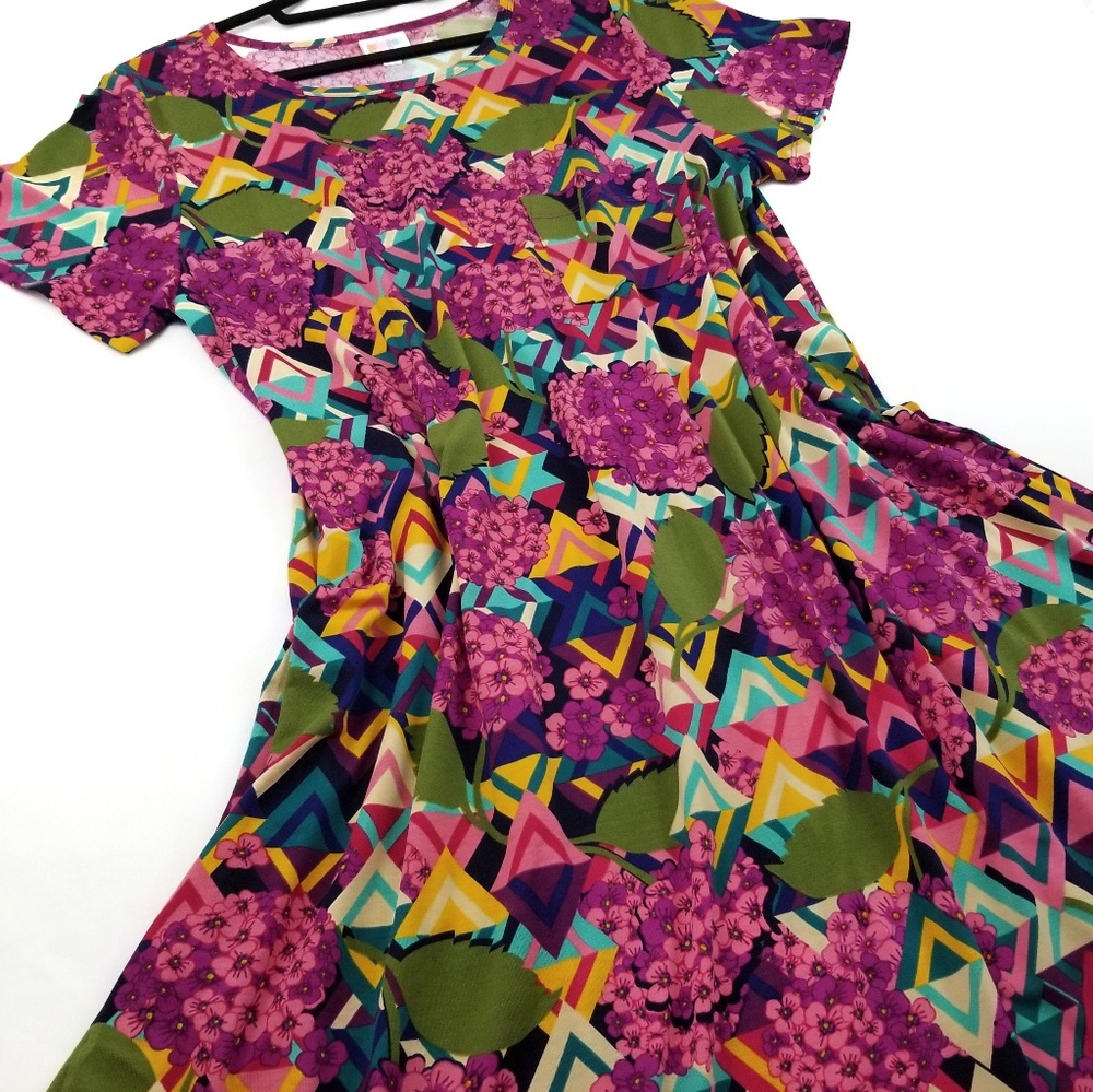 LuLaRoe Carly (high/low swing dress)